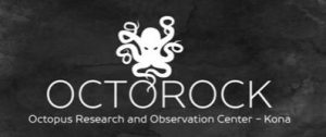 Octorock Logo