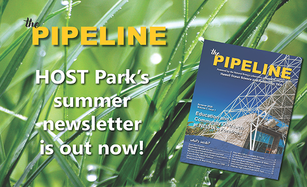 The Pipeline Summer edition